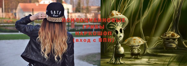 сатива Саяногорск