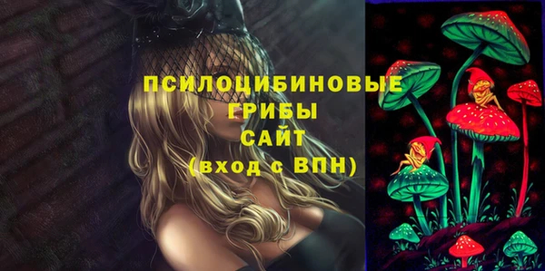 кокс Арсеньев
