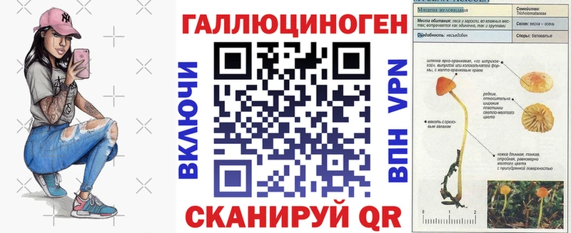 Галлюциногенные грибы Psilocybe  Карабаш 